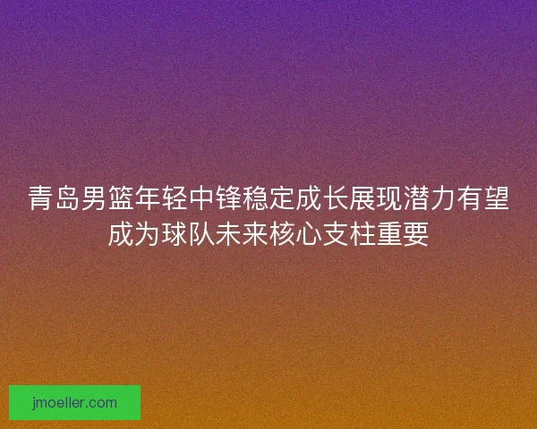 青岛男篮年轻中锋稳定成长展现潜力有望成为球队未来核心支柱重要