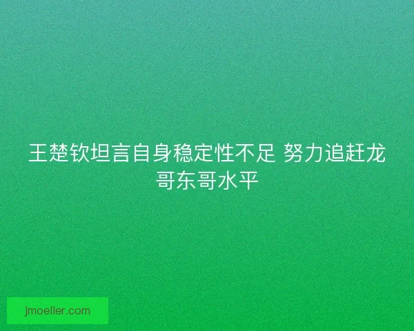王楚钦坦言自身稳定性不足 努力追赶龙哥东哥水平